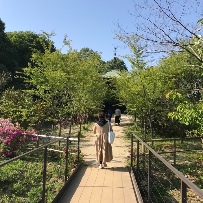 千田岡 穂 さん（仮称）