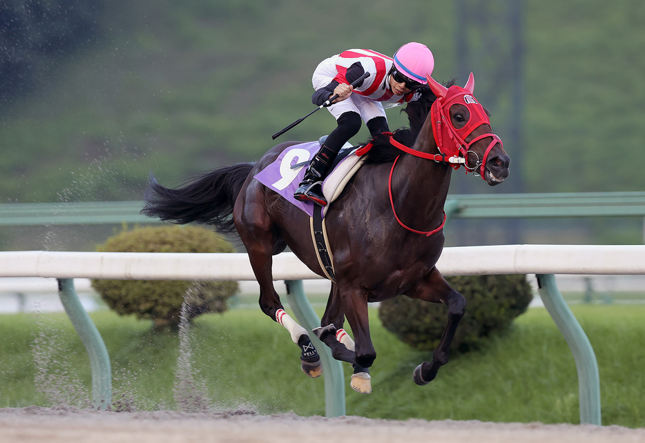 フェアリーカップ・ミニアチュールと佐々木志音騎手 (C)岩手県競馬組合