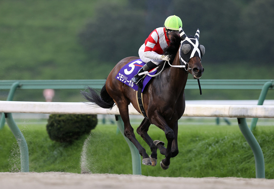 ひまわり賞・コモリリーガルと村上忍騎手 (C)岩手県競馬組合