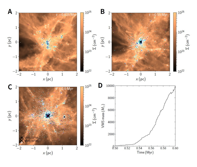 藤井准教授らが行ったシミュレーションの画像。時系列順にA、B、Cと時間が進み、AからCまでが7万5000年。黒い×印が特に大質量の恒星の位置を示している。右下のDのグラフは、最も大質量の恒星の質量の変化を表している。