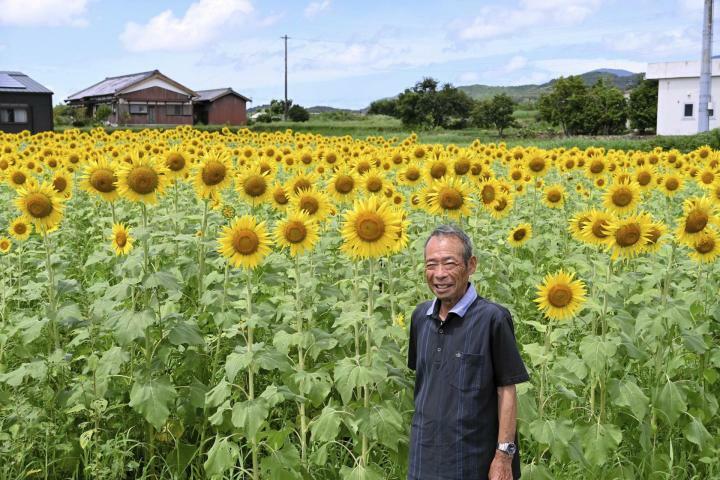 見事に咲きそろったヒマワリに目を細める大西代表