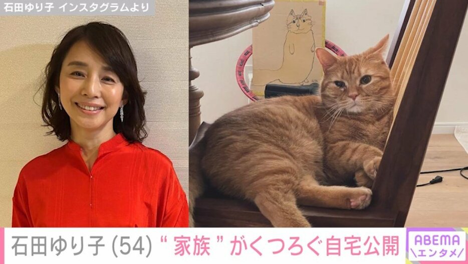 石田ゆり子（54）と愛猫