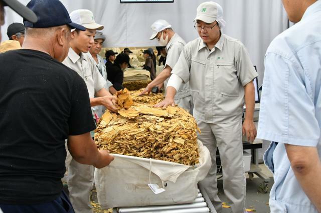 2024年産の買い入れが終了した＝27日、平良西里の日本たばこ産業宮古葉たばこ取扱所