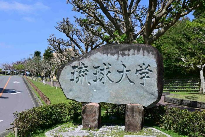 琉球大学（資料写真）