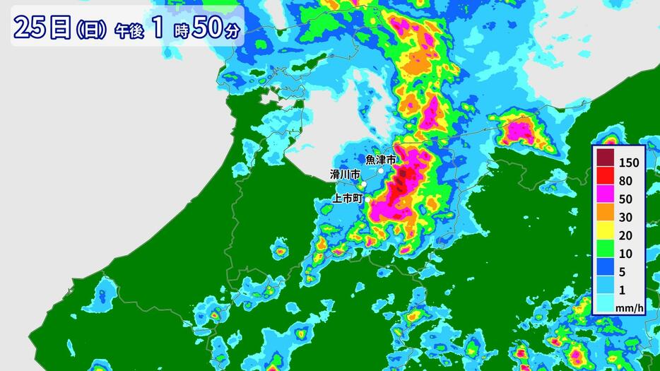 25日(日)午後1時50分の雨の様子