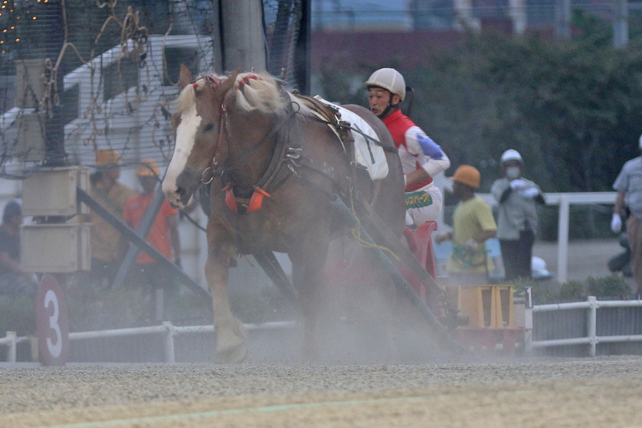 ハゴロモユニバースで通算2000勝を達成した西謙一騎手 (C)ばんえい十勝