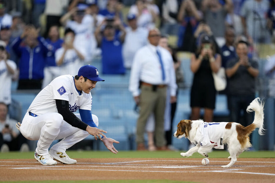 オリオールズ戦で“始球式”を行った大谷（左）の愛犬デコピン（ＡＰ）