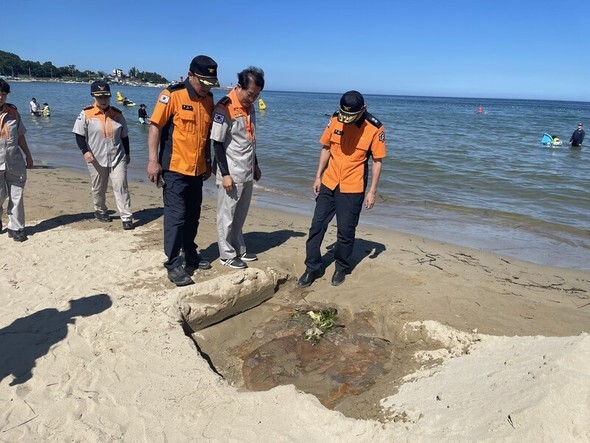 慶北消防本部の職員らが先月31日、東海岸のある海水浴場で、捕獲されたエチゼンクラゲを見つめている=慶尚北道提供