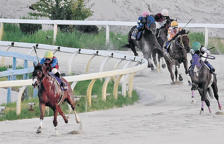 大差をつけて優勝したヒロイックテイル（左）＝金沢競馬場