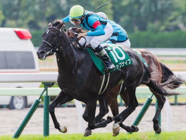 重賞初制覇を目指すトップナイフ(今年7月撮影、ユーザー提供：726さん)