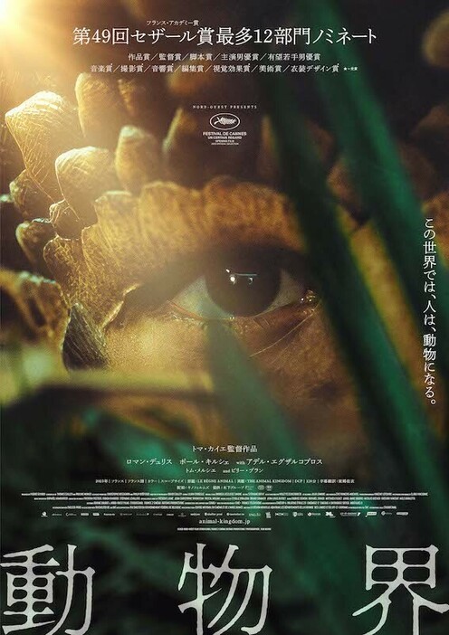 「動物界」ポスタービジュアル