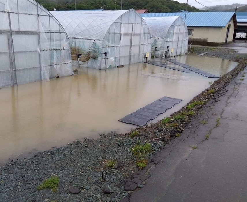 畑やハウスが冠水した苫前町