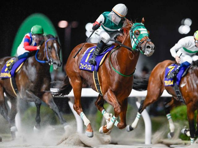 スパーキングサマーCを制したフォーヴィスム(撮影：高橋正和)