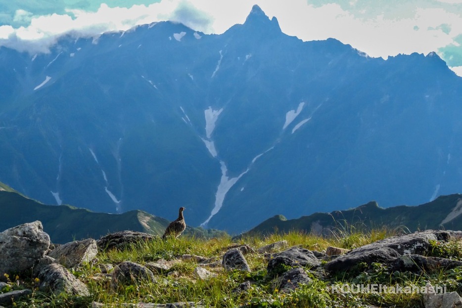 写真：PEAKS