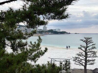 閉鎖された白良浜海水浴場