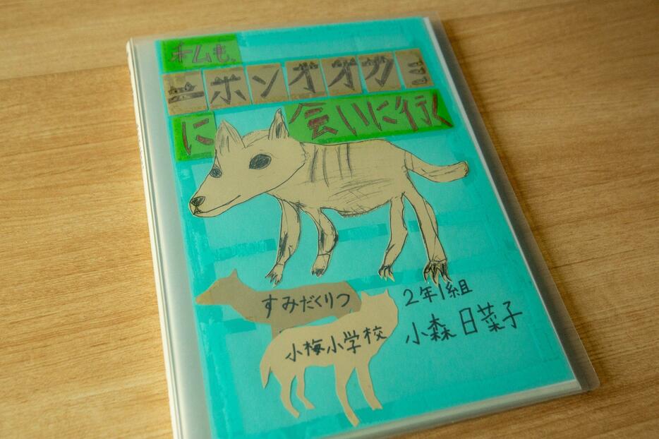 日菜子さんが小2のときにまとめた自由研究レポート「私もニホンオオカミに会いに行く」