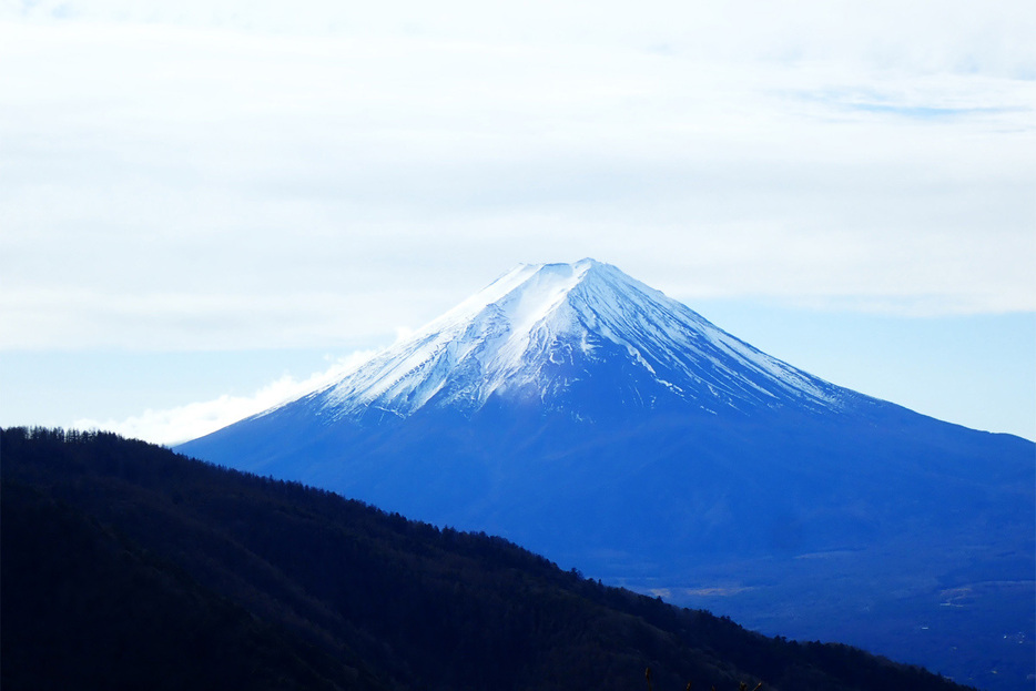 本社ケ丸の山頂から望む秀麗富士