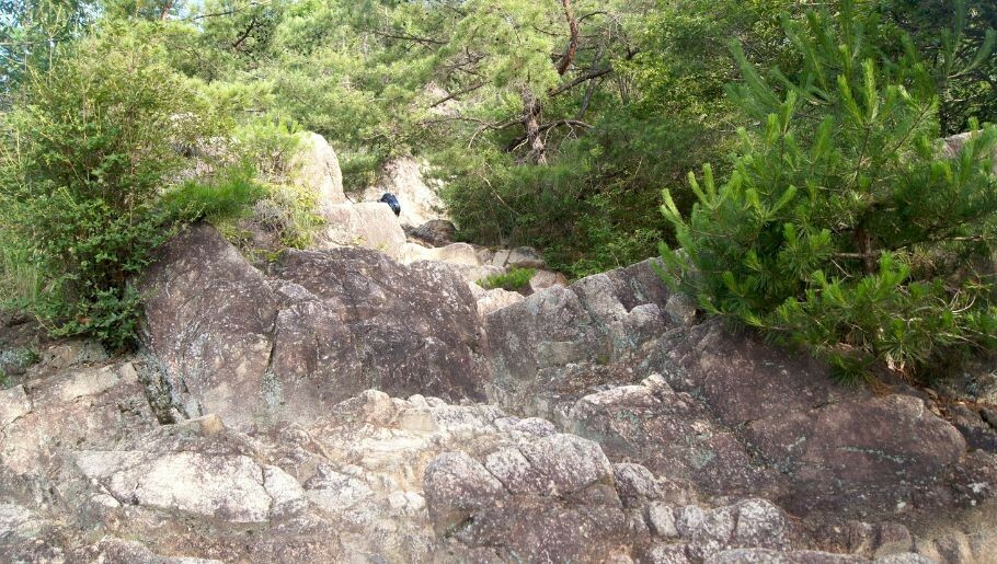 まずはLet's 六甲山！　山の自然を楽しんでください！　