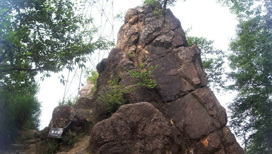 まずはLet's 六甲山！　山の自然を楽しんでください！　