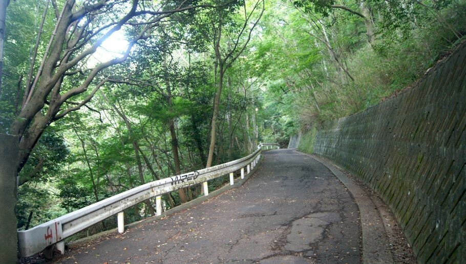 まずはLet's 六甲山！　山の自然を楽しんでください！　