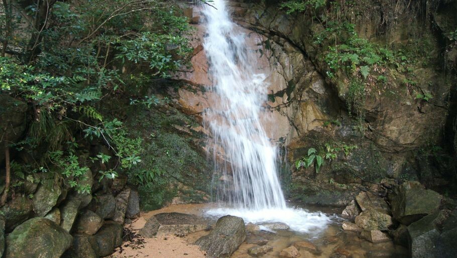 まずはLet's 六甲山！　山の自然を楽しんでください！　