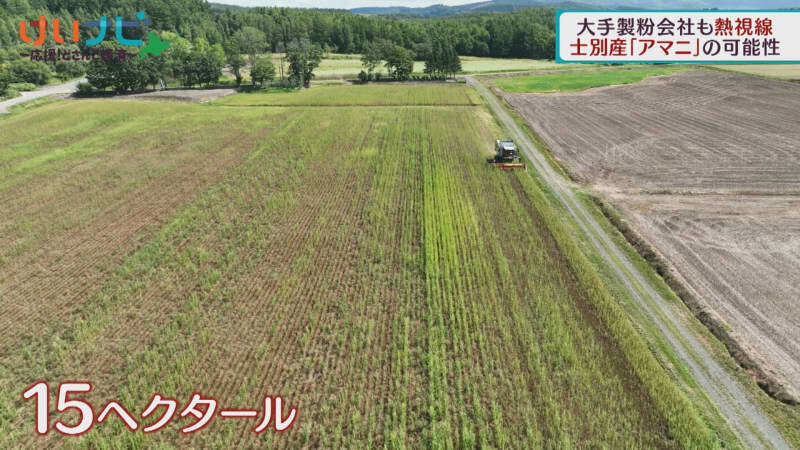 （写真：テレビ北海道）