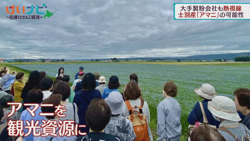 （写真：テレビ北海道）