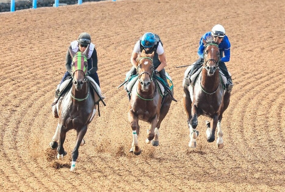 東京のマイル戦で新馬勝ちを収めたジョリーレーヌ(中)はココでも勝ち負け必至