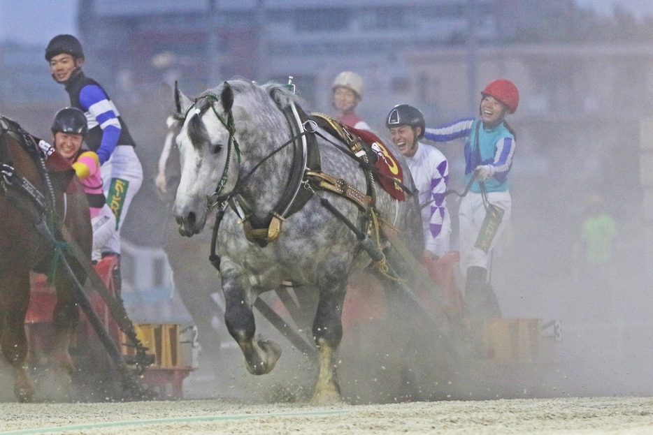 エキシビジョンレースを勝利した富田暁騎手・今井千尋騎手・シルバーアロイ (C)ばんえい十勝