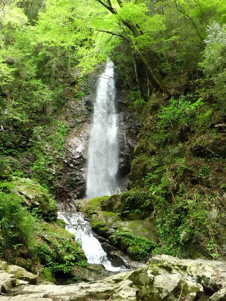 払沢の滝。