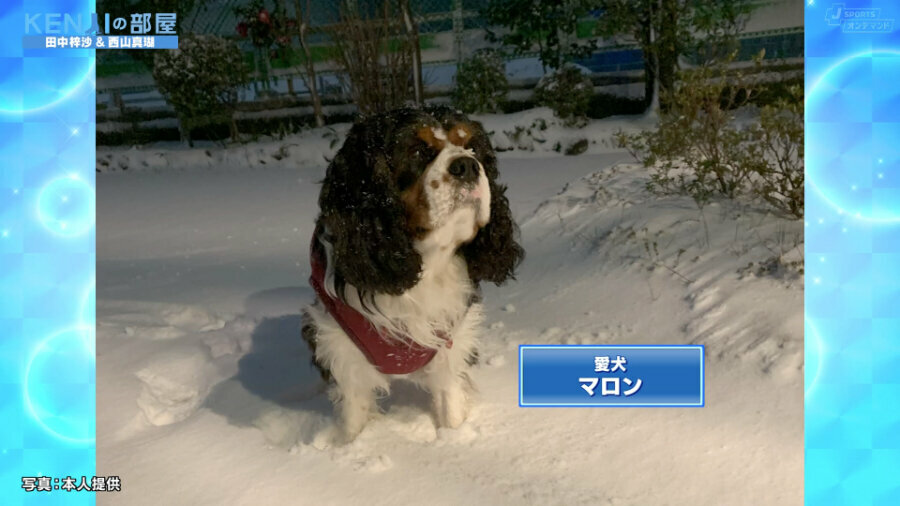 田中選手のお気に入りの一枚