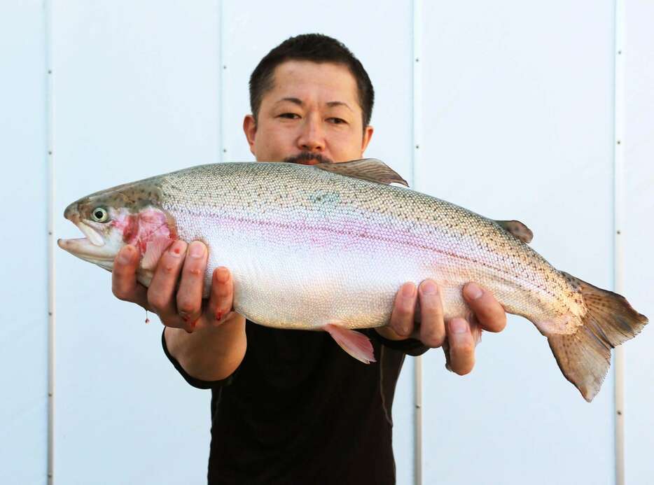 出荷を迎えた「薩州サーモン」＝２６日、薩摩川内市