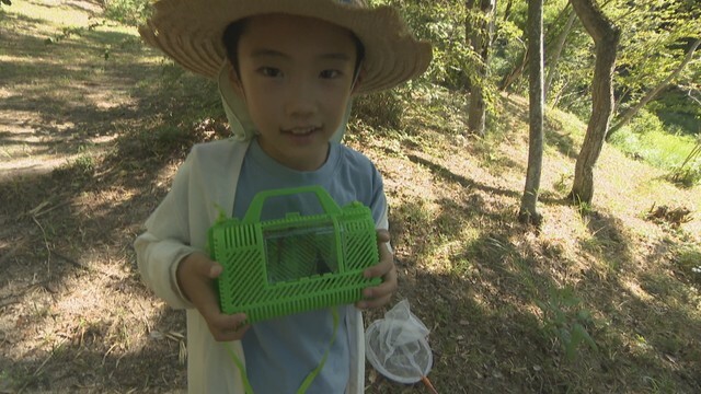 虫を捕まえて観察するイベント　重井薬用植物園