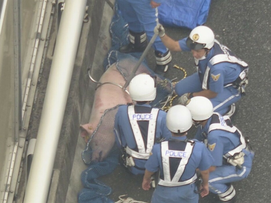 愛知県豊明市の伊勢湾岸道下り