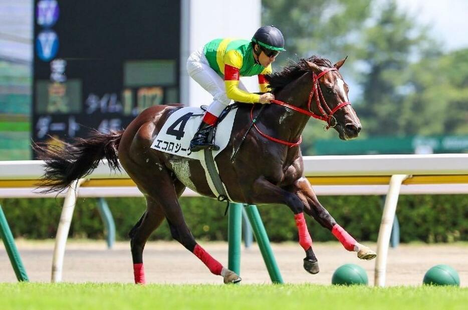 余裕の手応えでの圧勝劇だったエコロジーク