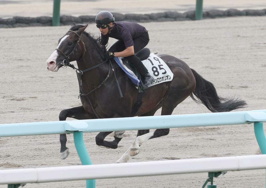 　横山典を背に軽快な動きを見せたマテンロウオリオン