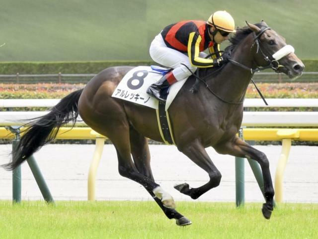 2戦目で確勝を期すアルレッキーノ(今年6月撮影、ユーザー提供：きりしまさん)