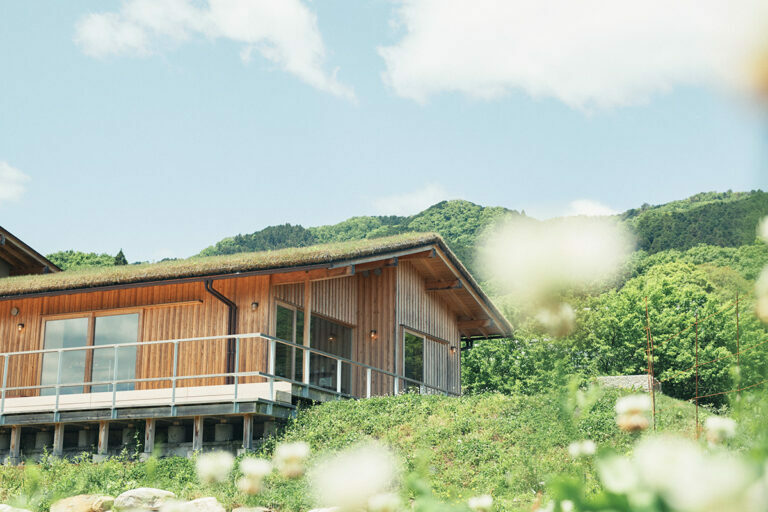 屋根にも草を植えるなどし、周辺の自然と調和させた建物。店内から望む畑では、野菜やハーブ、小麦などを栽培。裏山には果樹園が続き、圧巻の景色が広がる。