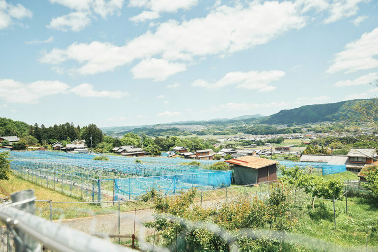 収穫体験も行う、隣接の農園