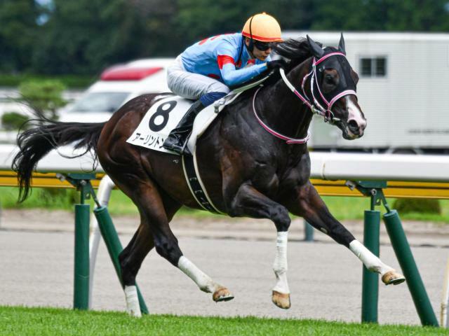 重賞初制覇を目指すアーリントンロウ(今年7月撮影、ユーザー提供：しゅんさん)