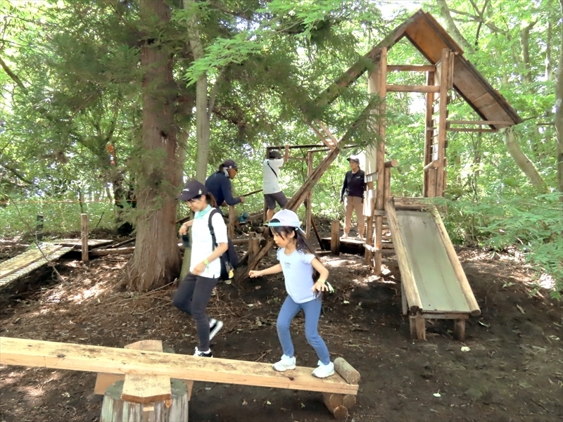 森の中の「秘密基地」で遊ぶ子どもたち