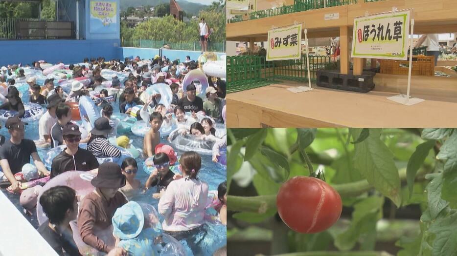 “過去イチ暑い”夏…影響続々！野菜に異変　広島