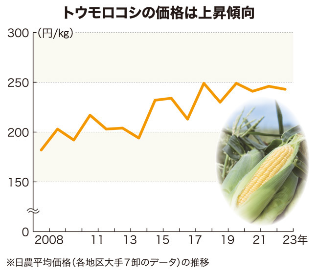 トウモロコシの価格は上昇傾向