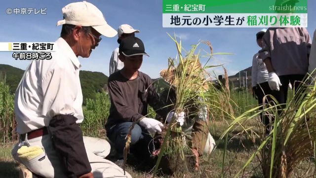 中京テレビNEWS