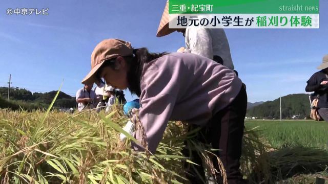 中京テレビNEWS