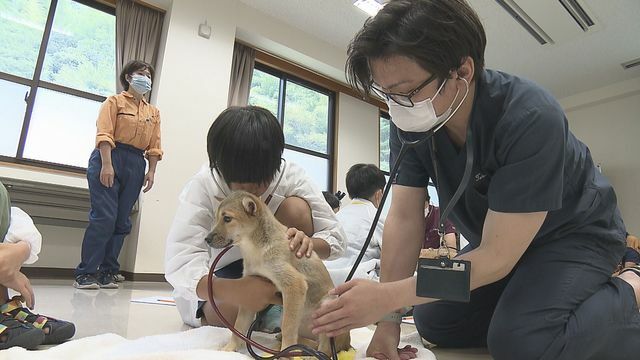 南海放送