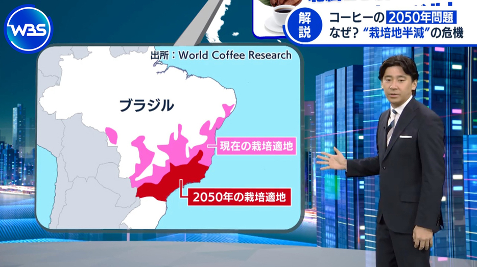 コーヒー業界が危機感を持つ「2050年問題」