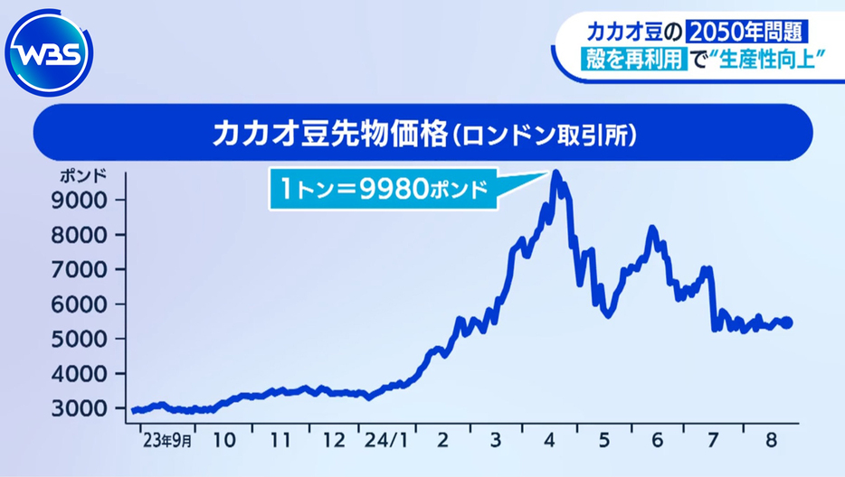 コーヒー豆だけでなくカカオ豆も高騰