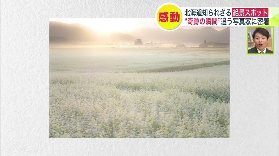 夏の時期になるとソバの花が一面に