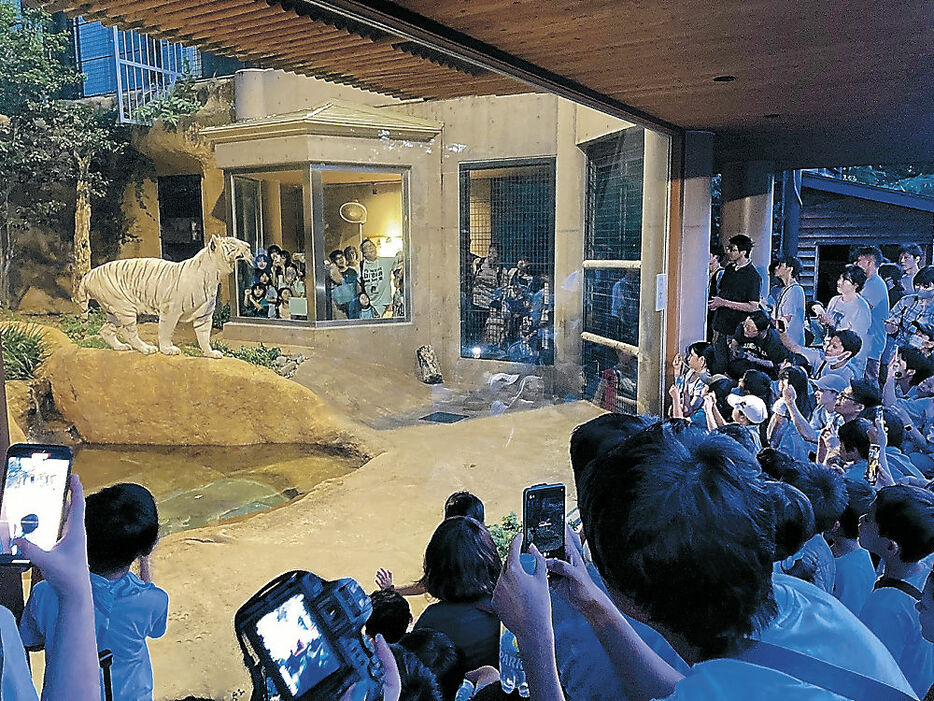 活発な動物の姿に見入る来園者＝能美市のいしかわ動物園